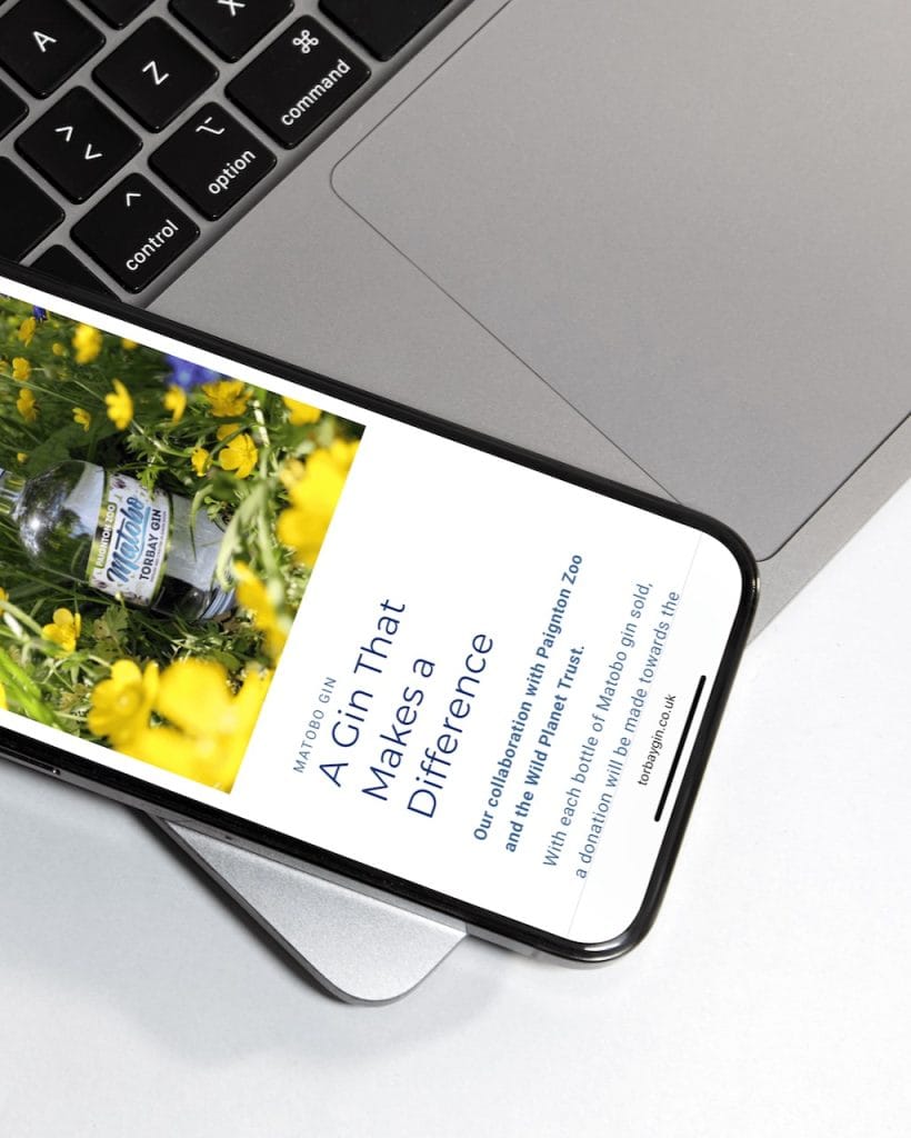 website-design-torquay-csj-marketing-torbay-gin