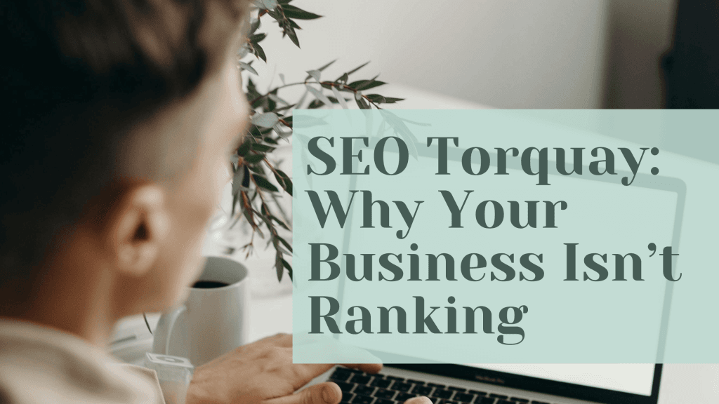 seo torquay why your business isnt ranking