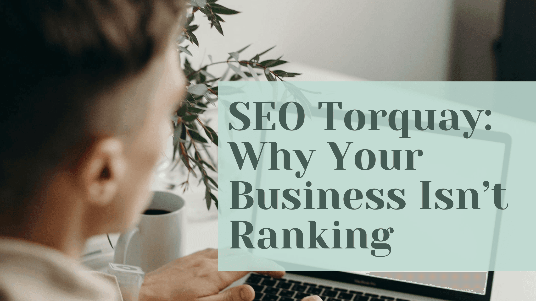 seo torquay why your business isnt ranking