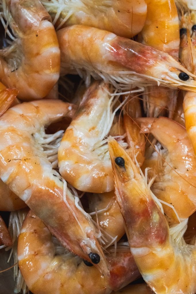 prawns at fish 4 all torquay photoshoot